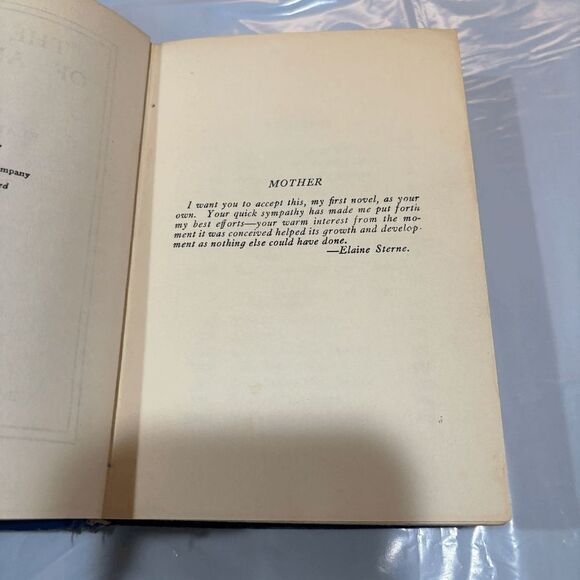 Vintage 1917 Elaine Sterne "The Road Of Ambition" 1st edition Ill Ray N. Jackson - Picture 7 of 11